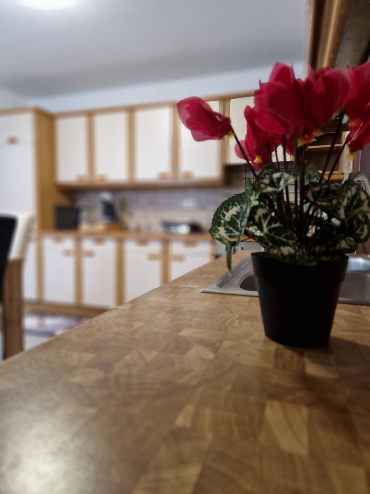 Apartment Lara Sankt Peter am Bichl ภายนอก รูปภาพ