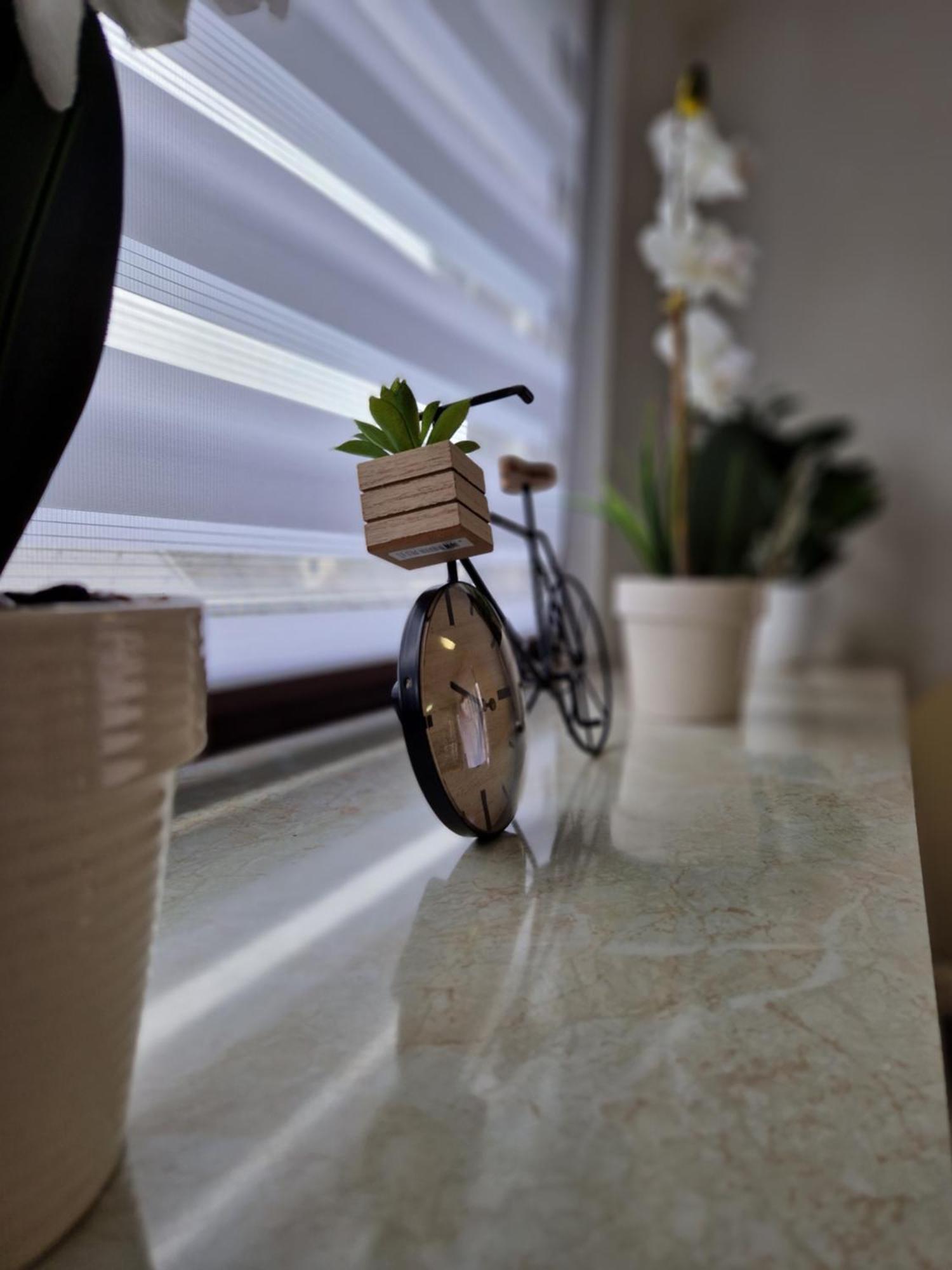 Apartment Lara Sankt Peter am Bichl ภายนอก รูปภาพ